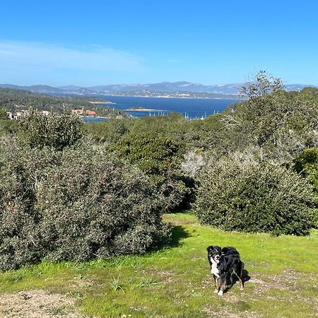 Latitudes 43 Lägenhet Porquerolles Exteriör bild