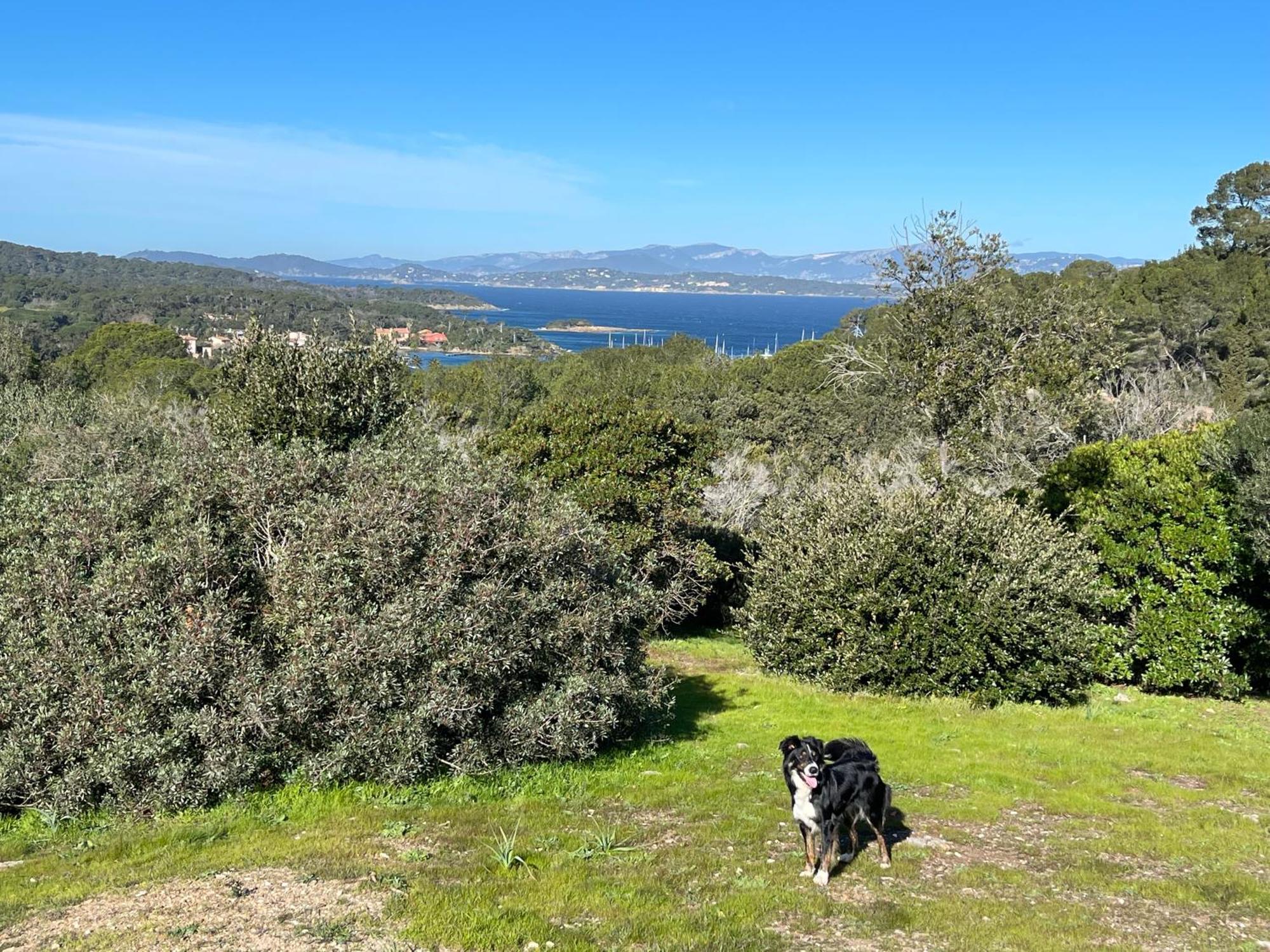 Latitudes 43 Lägenhet Porquerolles Exteriör bild