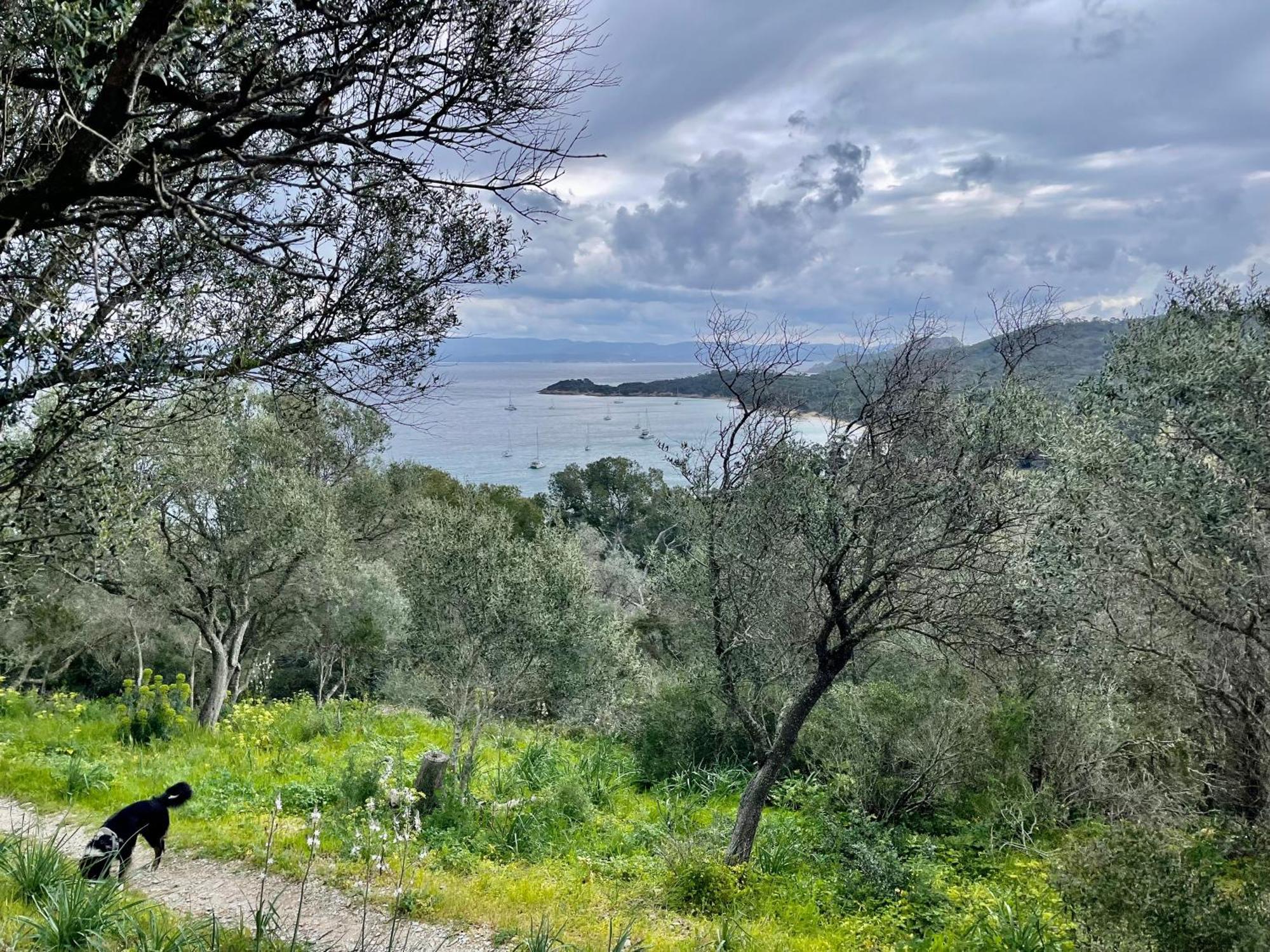 Latitudes 43 Lägenhet Porquerolles Exteriör bild