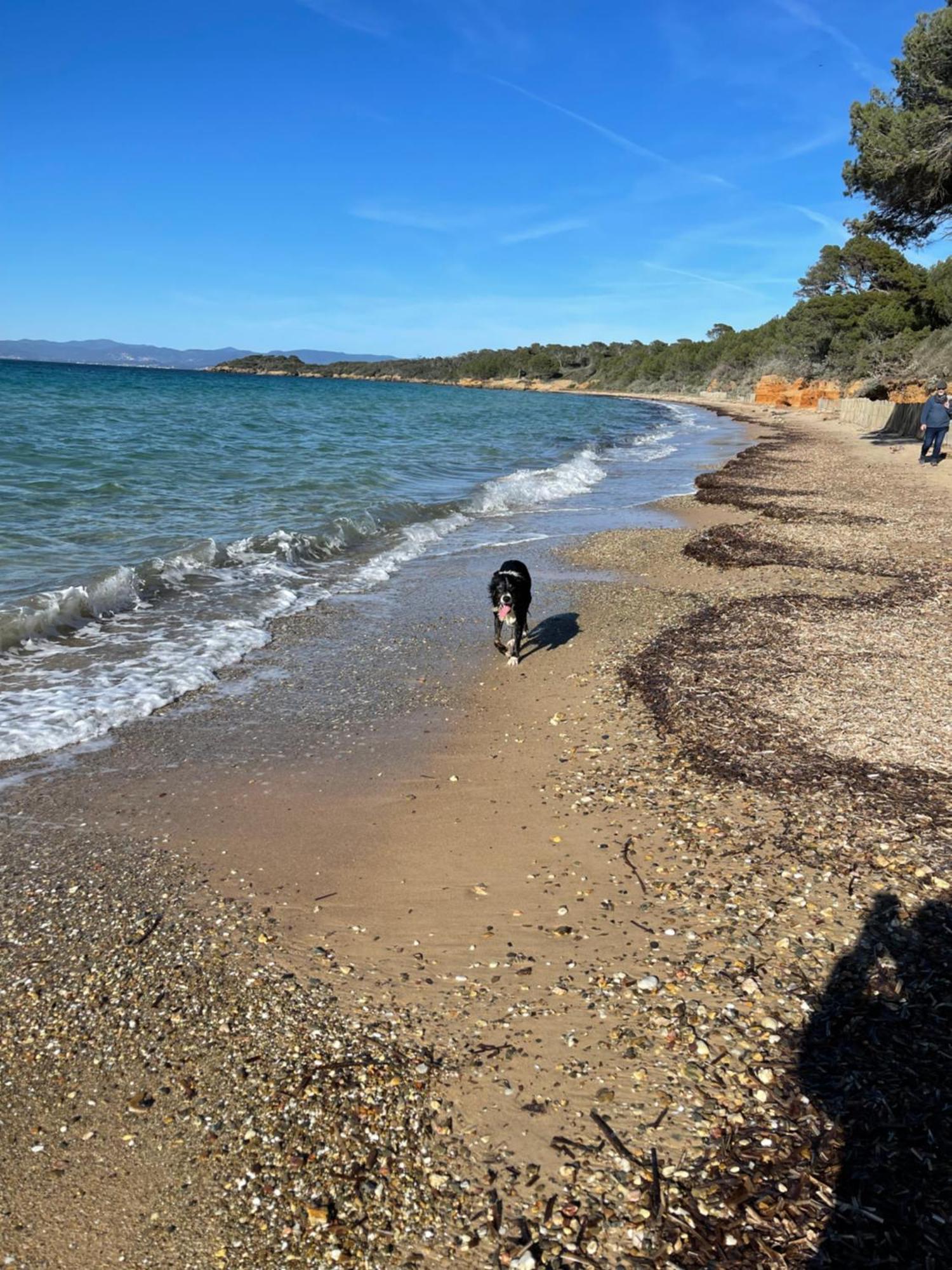 Latitudes 43 Lägenhet Porquerolles Exteriör bild